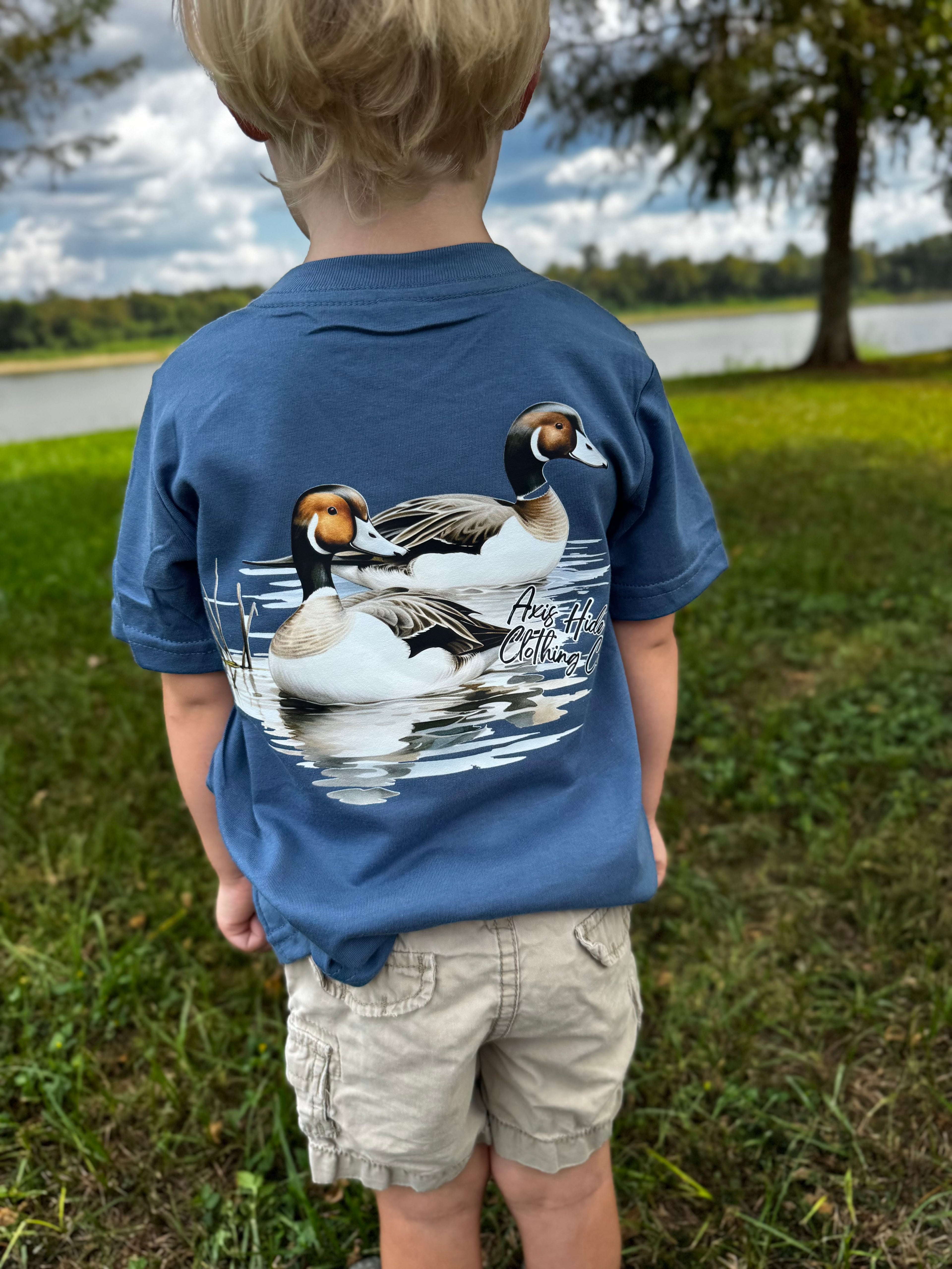 Pintails