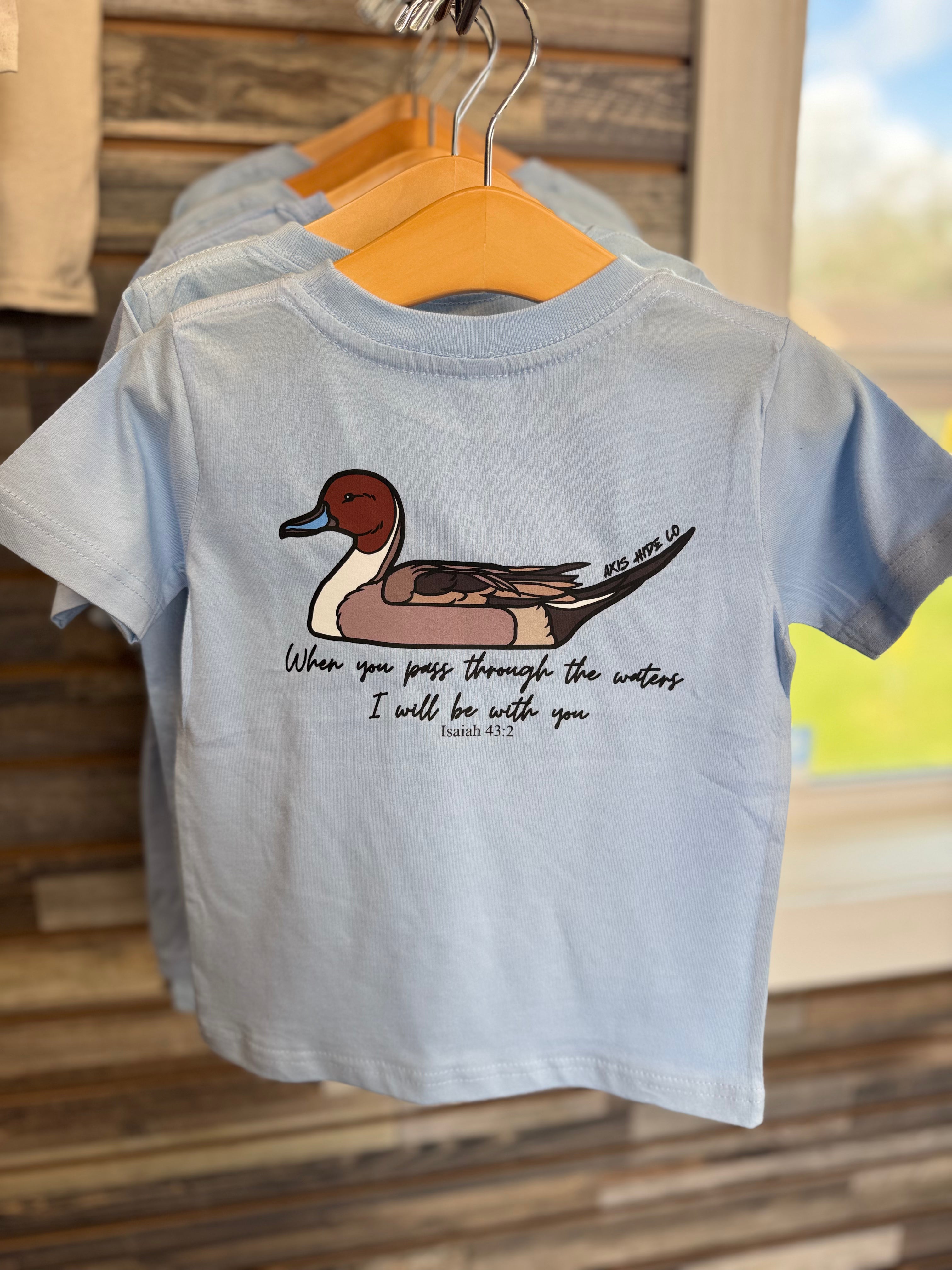 Pintail, Isaiah 43:2