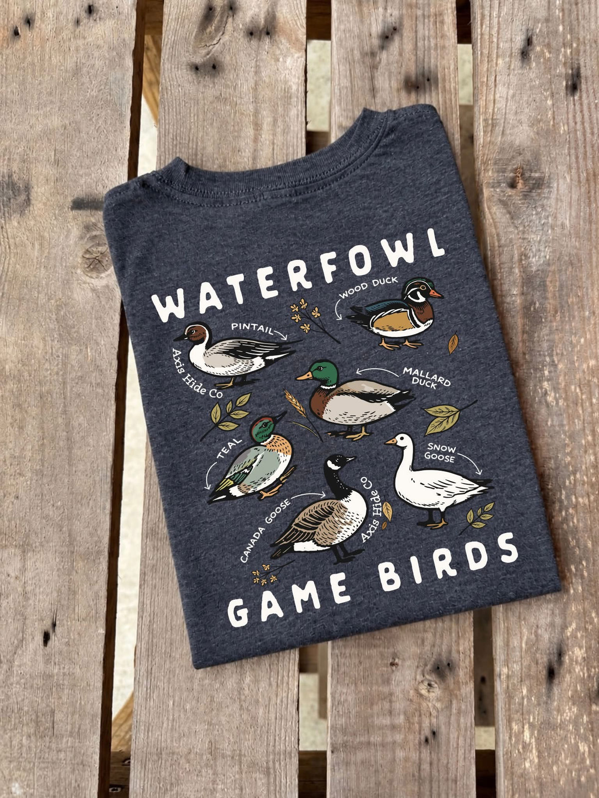 Waterfowl Birds