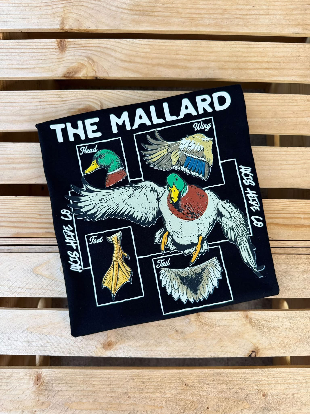 Mallard Anatomy